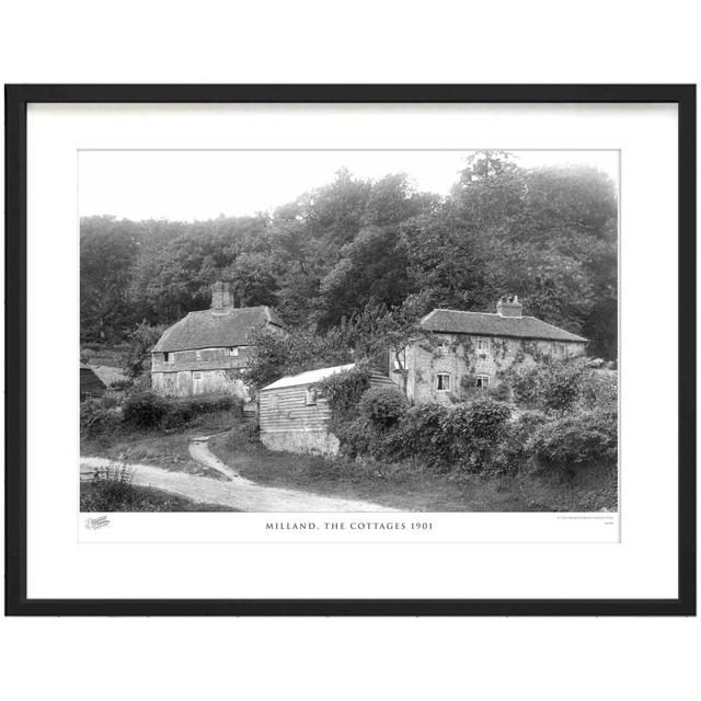 Milland, The Cottages 1901 by Francis Frith - Single Picture Frame Print The Francis Frith Collection Size: 28cm H x 36cm W x 2.3cm D on Productcaster.