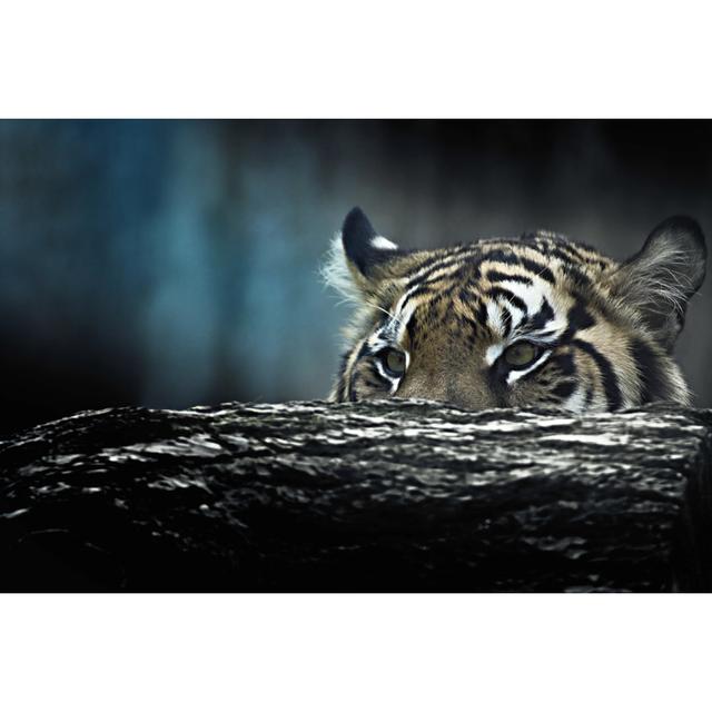 Tiger - Wrapped Canvas Print 17 Stories Size: 61cm H x 91cm W x 3.8cm D on Productcaster.