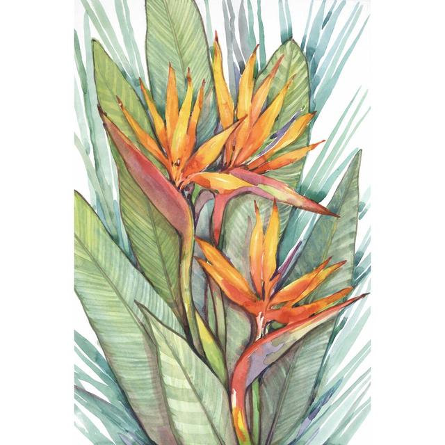 Tropical Botanical Paradise II by Timothy O' Toole - Wrapped Canvas Painting Pergo Classics Size: 30cm H x 20cm W on Productcaster.