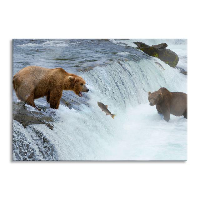 Bear Catching Salmon - Unframed Photograph on Glass Union Rustic Size: 60cm H x 80cm W x 0.4cm D on Productcaster.