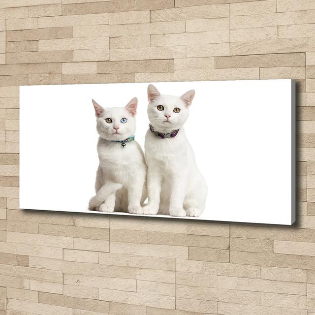 White Cats - Unframed Art Prints on Canvas Brayden Studio on Productcaster.