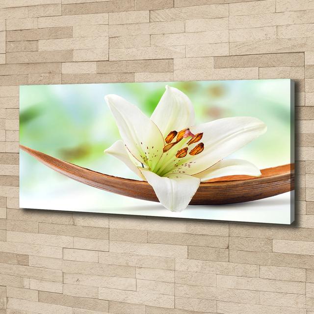 Lily - Wrapped Canvas Art Prints Brayden Studio on Productcaster.