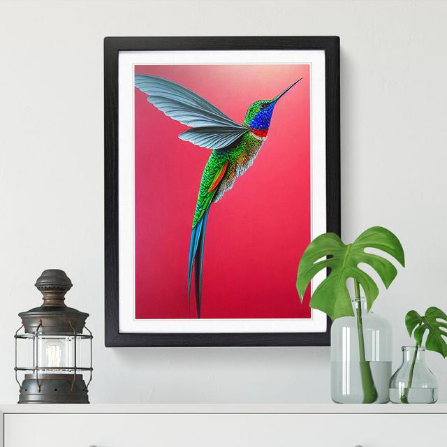 Northlakes Hummingbird Traditional Vol.3 - Picture Frame Graphic Art Pergo Classics Size: 64cm H x 46cm W x 2cm D, Frame Option: Oak on Productcaster.