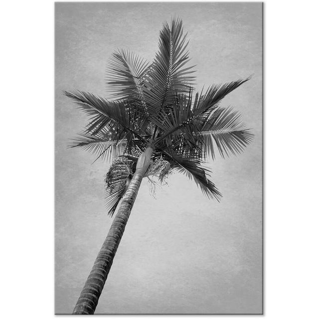 High Palm Tree - Print on Canvas Latitude Run Size: 120cm H x 80cm W x 1.3cm D on Productcaster.