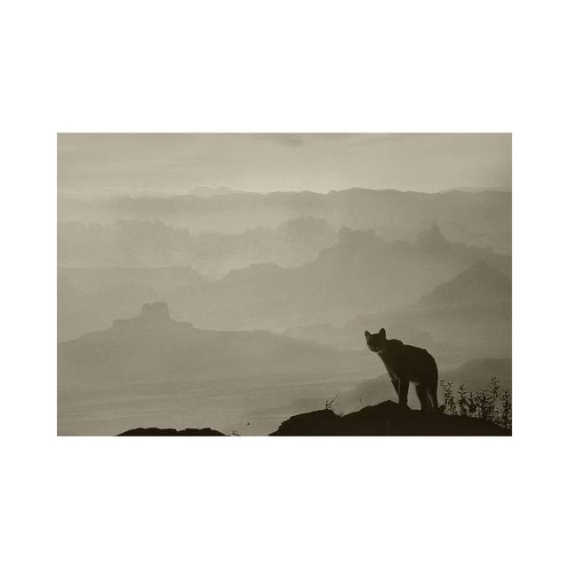 Mountain Lion On Ridge, North America (digital Composite) by Tim Fitzharris - No Frame Gallery-Wrapped Canvas Giclée on Canvas Alpen Home Size: 30.48c on Productcaster.