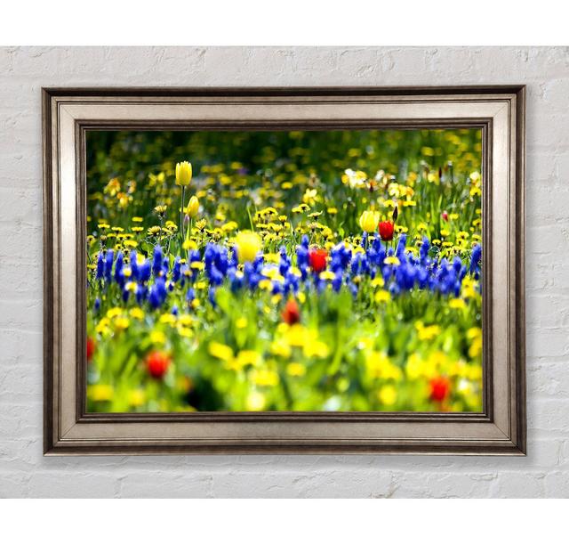 Spring Fling - Single Picture Frame Art Prints Bright Star Size: 21cm H x 42cm W on Productcaster.