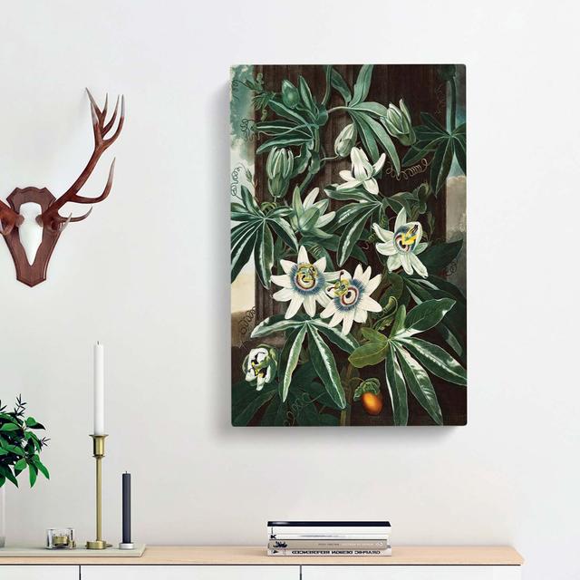 Bluecrown Passionflower by R.J. Thornton - Wrapped Canvas Painting Print East Urban Home Size: 60cm H x 40cm W x 3cm D on Productcaster.