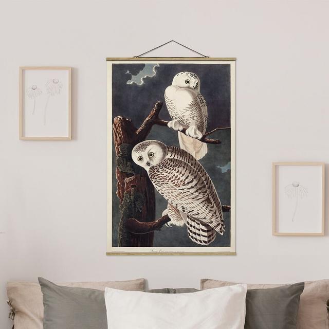 Vintage Educational Board Snowy Owl - Graphic Art Print Union Rustic Size: 120cm H x 80cm W x 0.3cm D on Productcaster.