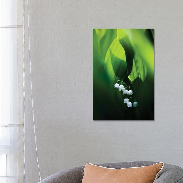 Lily Of The Valley by Mateusz Piesiak - Floater Frame Gallery-Wrapped Canvas Giclée on Canvas Ebern Designs Size: 66.04cm H x 45.72cm W x 1.91cm D, Fo on Productcaster.