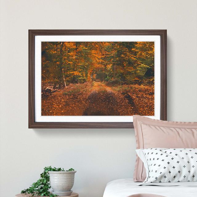 Magical Autumn Forest in Germany in Abstract - Picture Frame Graphic Art Print East Urban Home Frame Option: Walnut, Size: 50cm H x 76cm W x 2cm D on Productcaster.