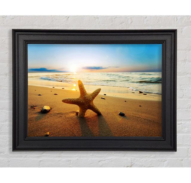 Starfish Sun Glow Framed Print Highland Dunes Size: 42cm H x 59.7cm W on Productcaster.