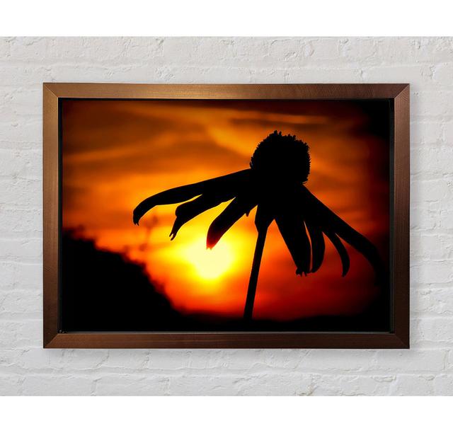 Sun Behind The Flower - Print Ebern Designs Size: 42cm H x 59.7cm W on Productcaster.