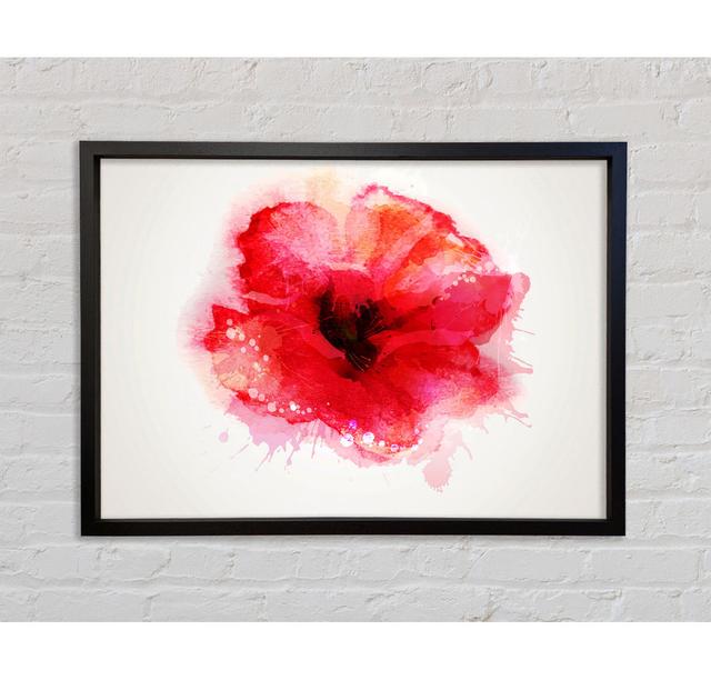 Delicate Poppy - Single Picture Frame Art Prints on Canvas Bright Star Size: 59.7cm H x 84.1cm W x 3.3cm D on Productcaster.