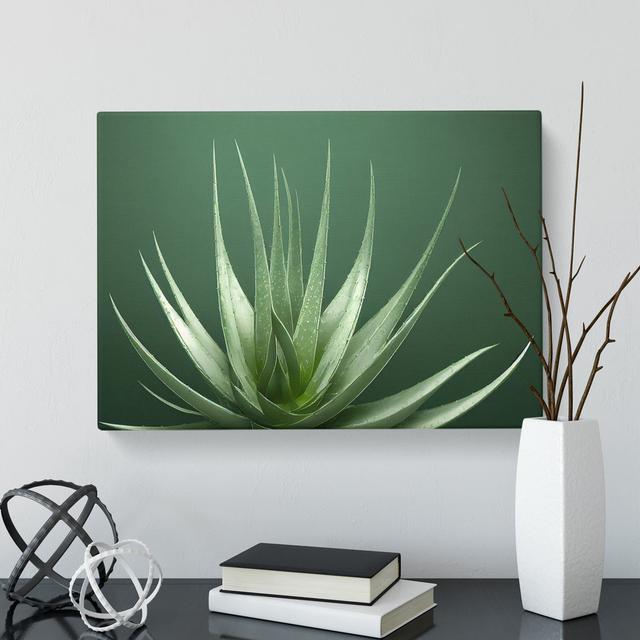 Stunning Aloe Vera Plant - Wrapped Canvas Graphic Art World Menagerie Size: 40cm H x 60cm W x 3cm D on Productcaster.