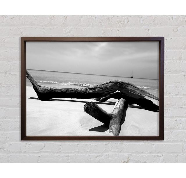 Ocean Drift Wood On The Shore B N W - Print Bright Star Size: 84.1cm H x 118.9cm W x 3.3cm D on Productcaster.