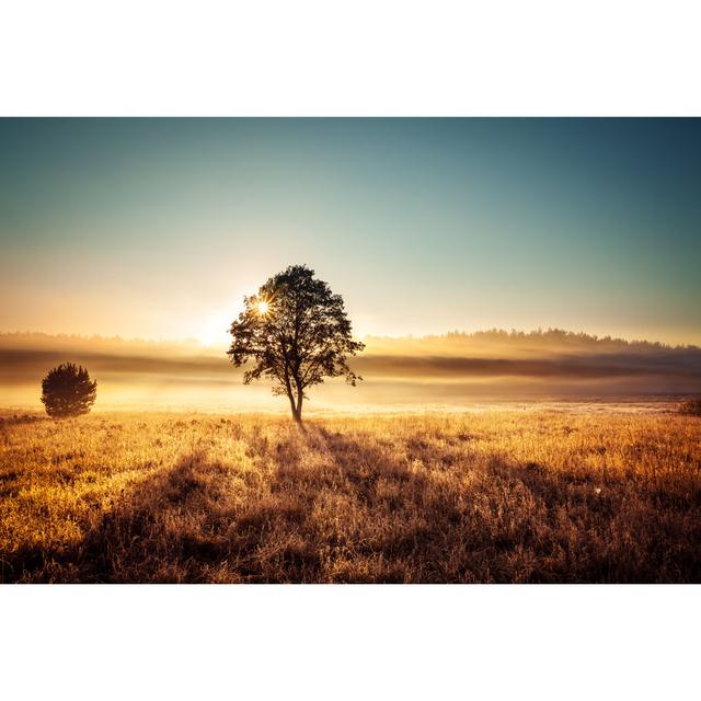 Foggy Sunset Landscape by Konradlew - Wrapped Canvas Print 17 Stories Size: 51cm H x 76cm W on Productcaster.