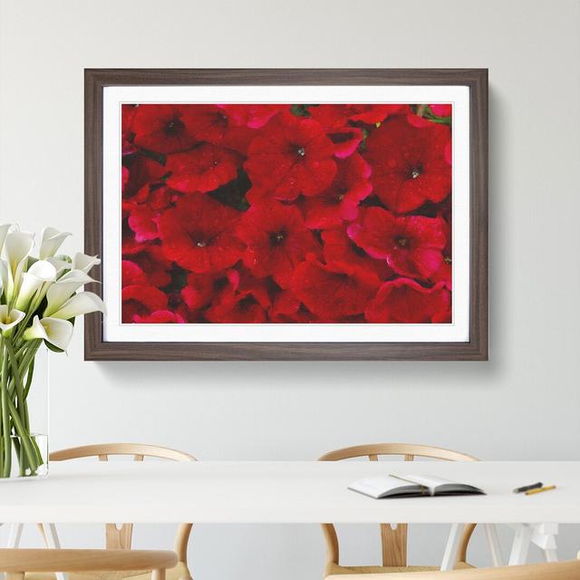 Seeing Red Flowers - Picture Frame Graphic Art East Urban Home Size: 27cm H x 36cm W x 2cm D, Frame Option: Walnut Framed on Productcaster.