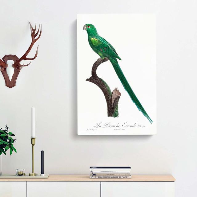 Long-Tailed Parakeet by F. Levaillant - Wrapped Canvas Art Print East Urban Home Size: 60cm H x 40cm W x 3cm D on Productcaster.