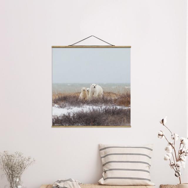 Polar Bear and Her Cubs - Photograph Print Ebern Designs Size: 80cm H x 80cm W x 0.3cm D on Productcaster.