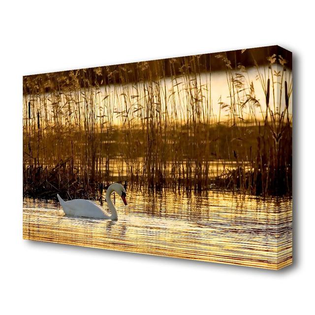 Swan Lake - Wrapped Canvas Photograph Print East Urban Home Size: 35.6cm H x 50.8cm W x 4.4cm D on Productcaster.