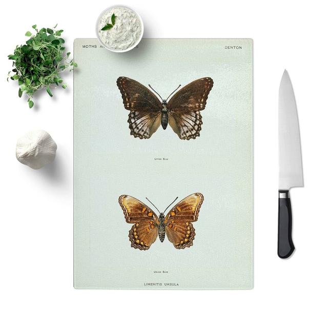 Glass Limenitis Arthemis Butterfly by S.F. Denton Chopping Board East Urban Home Size: 39 cm W x 28.5 cm L on Productcaster.