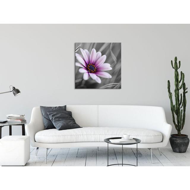 Flower in Nature - Unframed Photograph on Glass Brayden Studio Size: 80cm H x 80cm W x 0.4cm D on Productcaster.