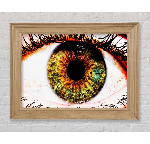 Big Eye Framed Print Bright Star Size: 84.1cm H x 142.2cm W on Productcaster.