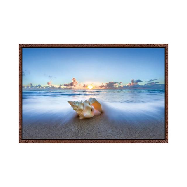 Ocean Sweep Shell Highland Dunes Size: 45.72cm H x 66.04cm W x 3.81cm D, Format: Classic Wood Framed on Productcaster.