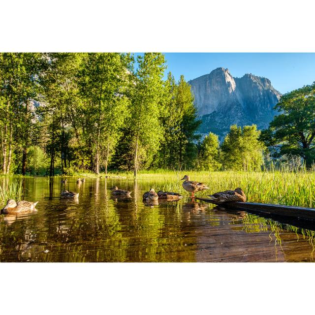 Darleen Meadow in Yosemite by Haveseen - Wrapped Canvas Photograph Alpen Home Size: 20cm H x 30cm W x 3.8cm D on Productcaster.