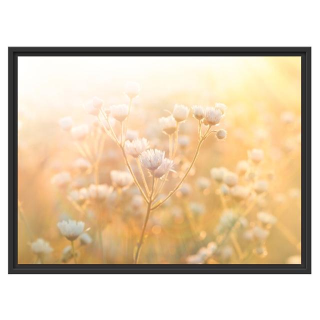 Gerahmtes Wandbild Romantische Blumenwiese East Urban Home Größe: 60 cm H x 80 cm B on Productcaster.