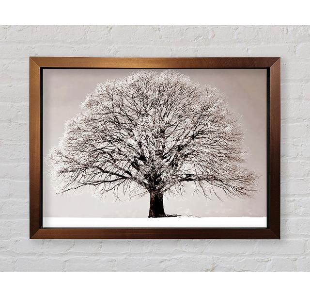 Lonely Winter Tree - Single Picture Frame Art Prints Bright Star Size: 42cm H x 59.7cm W x 3.4cm D on Productcaster.