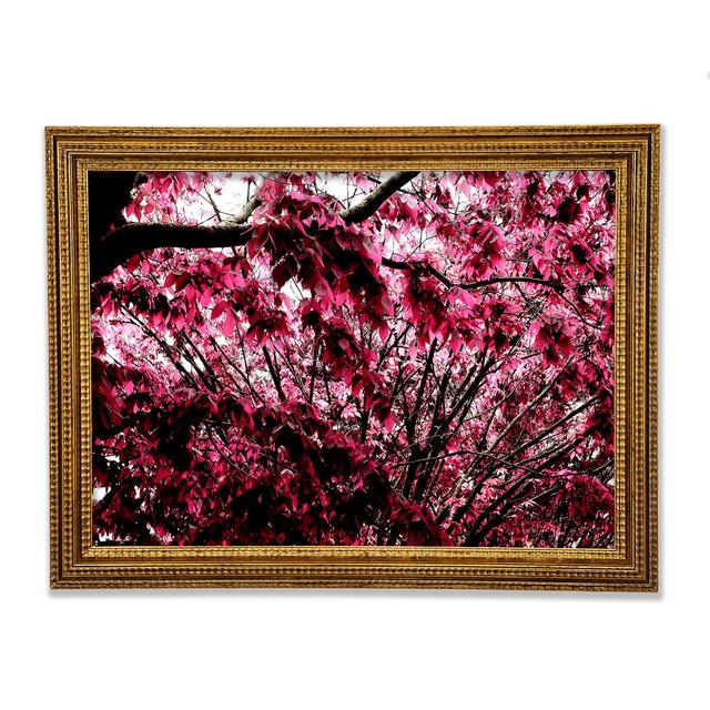 Pink Tree - Print Ebern Designs Size: 42cm H x 59.7cm W x 3cm D on Productcaster.