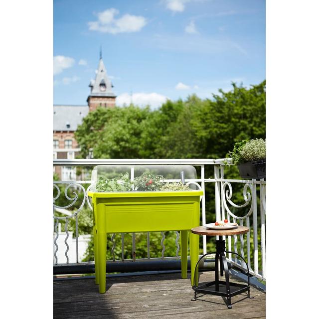 Green Basics Grow Your Own Table Planter Elho Colour: Lime Green, Size: 65.1cm H x 75.5cm W x 75.5cm D on Productcaster.