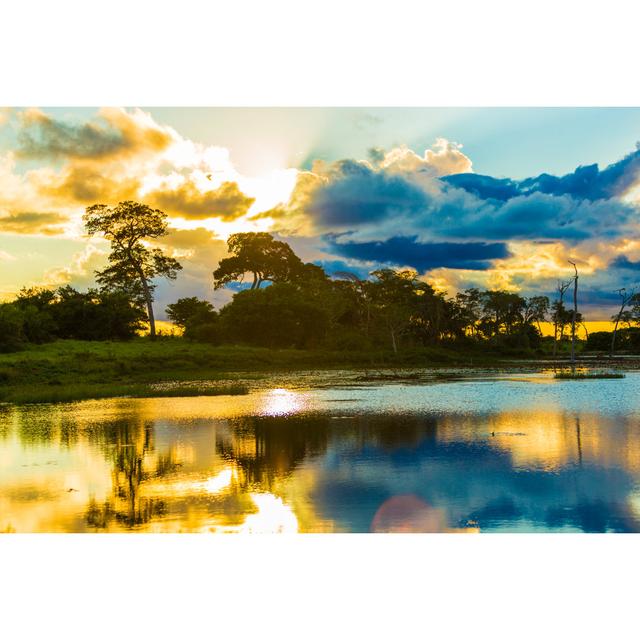 Bunter Sonnenuntergang im Pantanal Fluss von Filipefrazao - Leinwanddrucke Marlow Home Co. Größe: 40 cm H x 60 cm B on Productcaster.