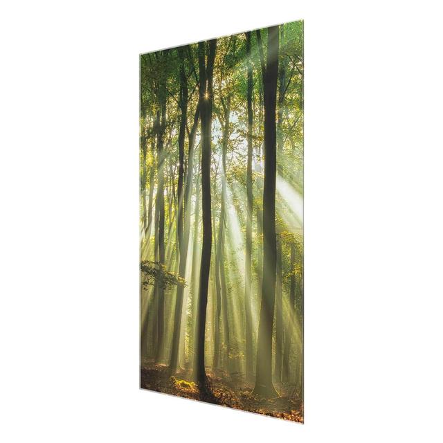 Sunny Day in the Forest - Graphic Art Print on Glass East Urban Home Size: 60 cm H x 40 cm W x 0.4 cm D on Productcaster.