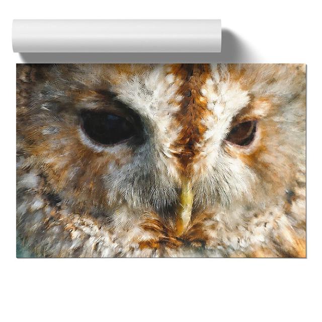 Tawny Owl Vol.2 - No Frame Art Prints East Urban Home Size: 21cm H x 30cm W x 0.1cm D on Productcaster.