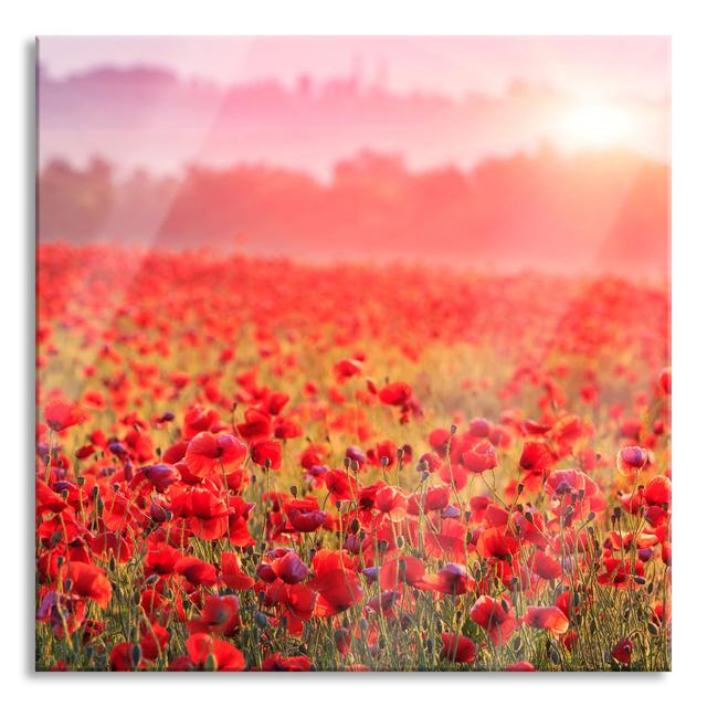 Poppy Field In The Sunshine - No Frame Print on Glass 17 Stories Size: 70cm H x 70cm W x 0.4cm D on Productcaster.