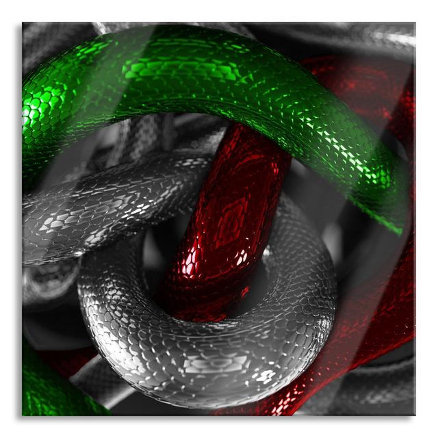 Intertwined Snakes - Unframed Photograph on Glass Ebern Designs Size: 60cm H x 60cm W on Productcaster.