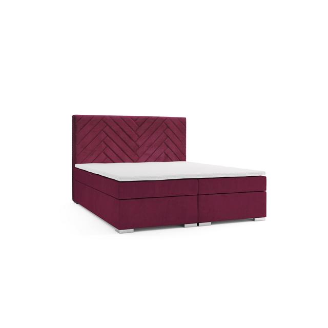 Bed Fairmont Park Colour: Burgundy, Size: 160 x 200cm on Productcaster.