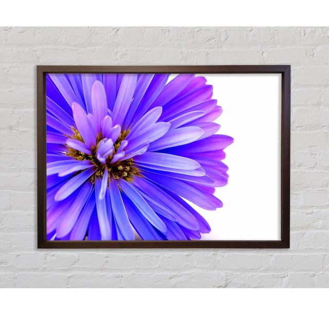 Soft Petals - Single Picture Frame Art Prints on Canvas Bright Star Size: 100cm H x 141.4cm W on Productcaster.