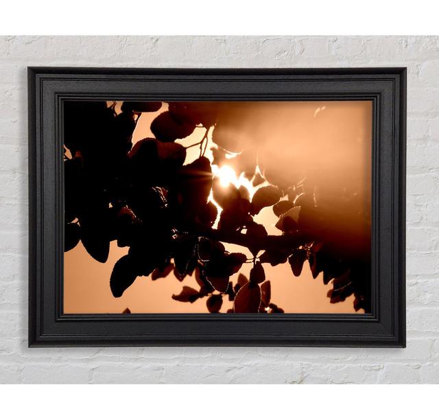 Sunlight Through Leaves - Print Ebern Designs Size: 59.7cm H x 84.1cm W x 8cm D, Format: Black Framed Paper on Productcaster.