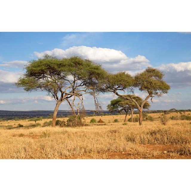 Ridgeland African Savannah - Wrapped Canvas Photograph Latitude Run Size: 51cm H x 76cm W x 3.8cm D on Productcaster.