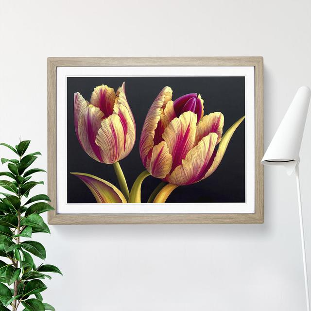 Beguiling Tulip Flowers - Picture Frame Graphic Art 17 Stories Size: 25cm H x 34cm W x 2cm D, Frame Colour: Oak Framed on Productcaster.