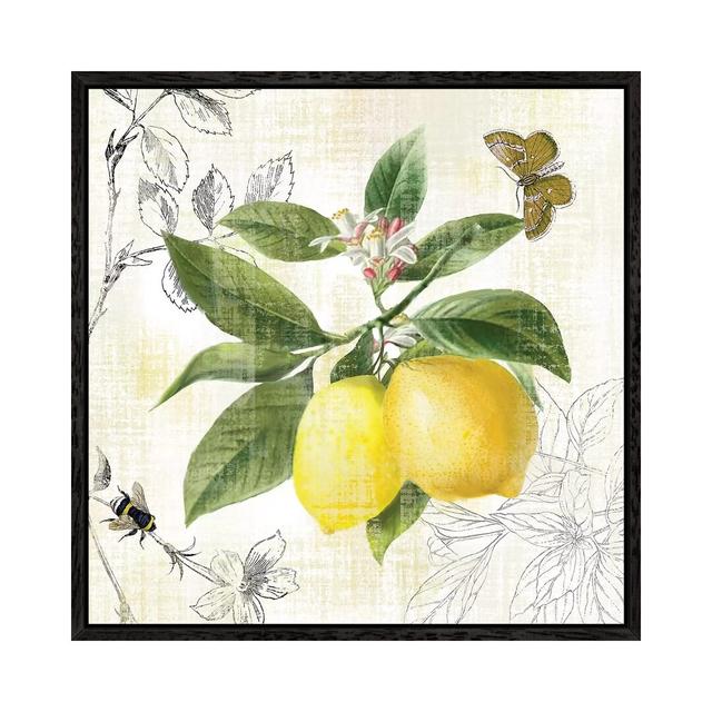 Linen Lemons I by Nan - Print on Canvas August Grove Format: Black Framed, Size: 66.04cm H x 66.04cm W x 3.81cm D on Productcaster.