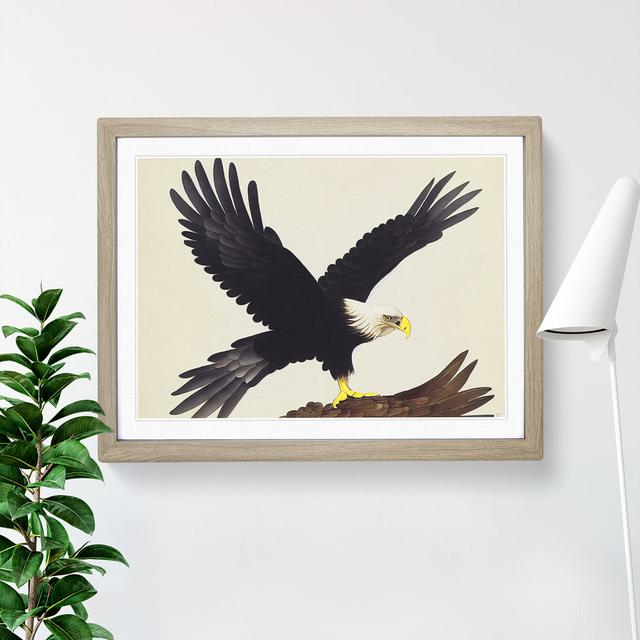 Exquisite Eagle Bird - Single Picture Frame Painting Alpen Home Frame Colour: Oak, Size: 46cm H x 64cm W x 2cm D on Productcaster.