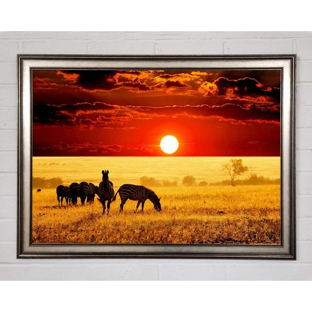 Zebras In The African Sun - Single Picture Frame Art Prints August Grove Size: 59.7cm H x 84.1cm W x 1.5cm D on Productcaster.