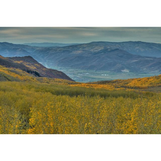 Aspens In The Heber Valley by Rhyman007 - Print Alpen Home Size: 30cm H x 46cm W x 3.8cm D on Productcaster.