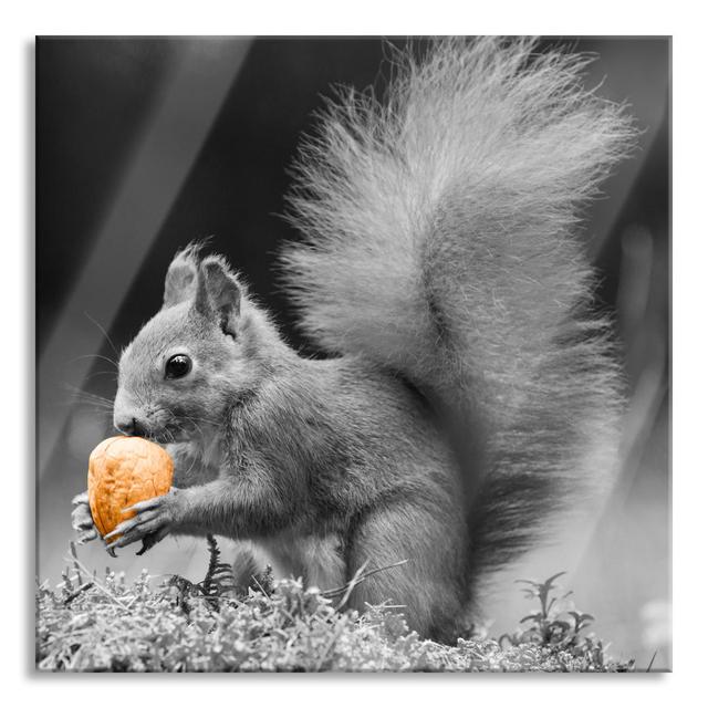 Cute Squirrel with a Nut - Unframed Photograph on Glass Brayden Studio Size: 70cm H x 70cm W x 0.4cm D on Productcaster.