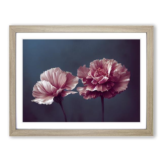 Dramatic Carnation Flowers - Picture Frame Graphic Art Latitude Run Frame Colour: Oak Framed, Size: 25cm H x 34cm W x 2cm D on Productcaster.