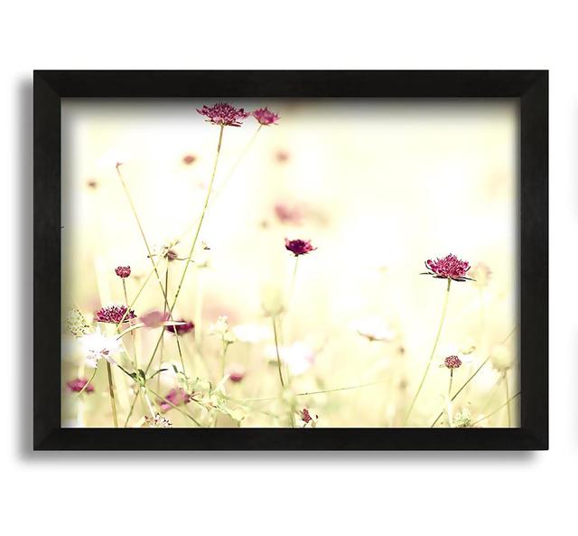 Wildflowers In Stunning Sunlight Framed Print Ebern Designs Size: 29.7cm H x 42cm W x 8cm D, Format: Galway Gold Black Framed Paper on Productcaster.